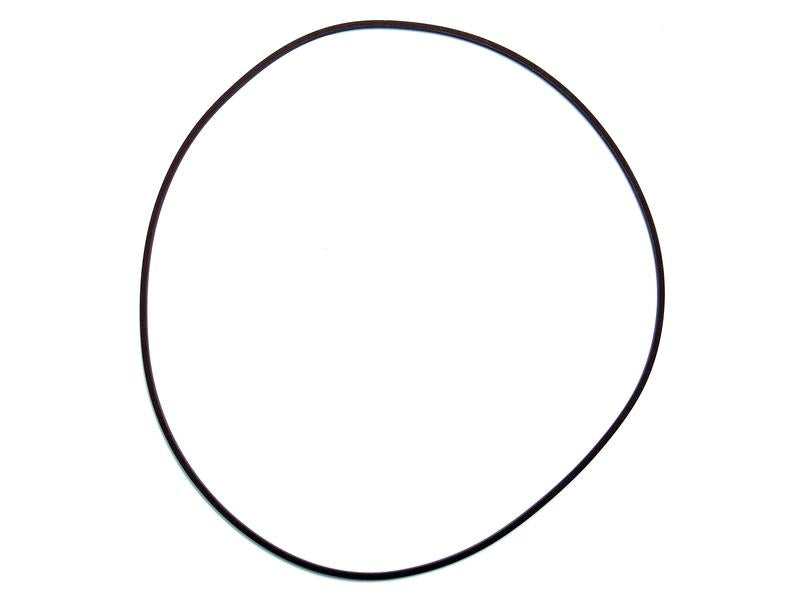 O'ring (S.59160)