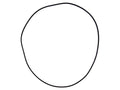 O'ring (S.59163)