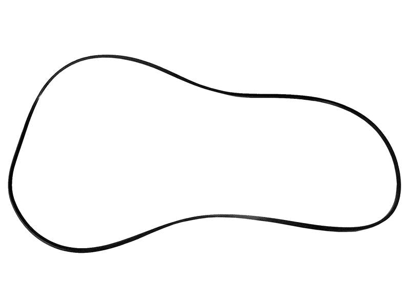 O'ring (S.59164)