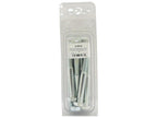 Agripak 10 un. Parafuso métrico, M10x80mm (S.5916)