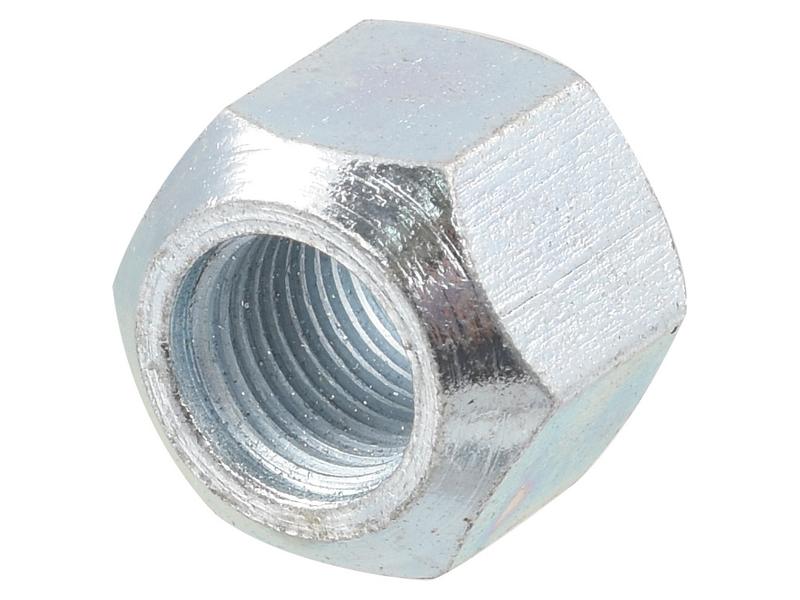 Porca (S.5938)