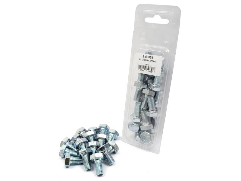 Agripak 10 un. Parafuso de ajuste métrico M10x100mm (S.59859)