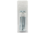 Agripak 10 un. Parafuso métrico, M10x100mm (S.59954)