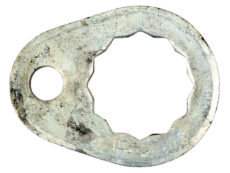 Anilha (S.60465)