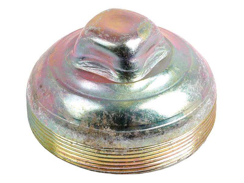 Tampão do cubo (S.61199)