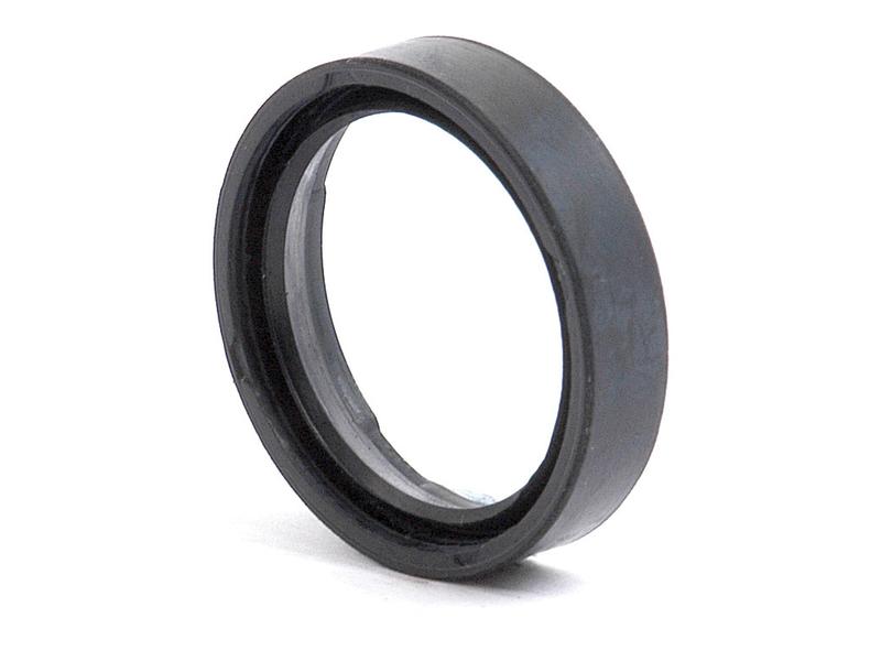 Retentor 25 x 31 x 7mm (S.62553)