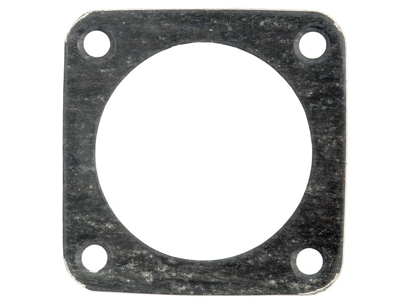 Junta termostato (S.64444)