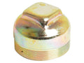 Tampão do cubo (S.65133)