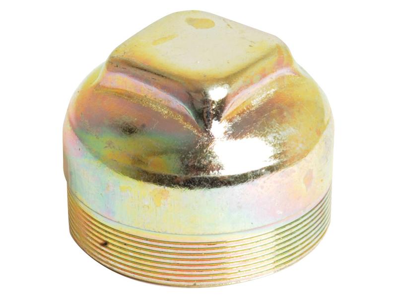 Tampão do cubo (S.65133)