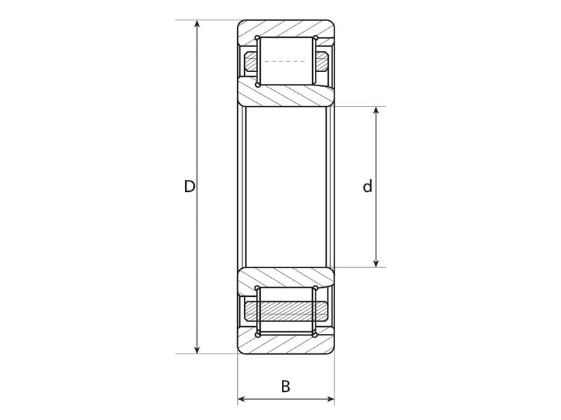 Sparex Rolamento de rolos cilíndricos (F-52077) (S.65424)