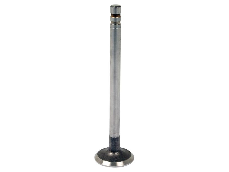 Válvula de escape +0.015'' (0.38mm) (S.65927)