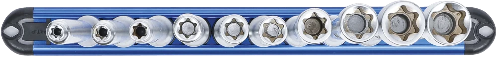 Conjunto de encaixes para chave de caixa perfil em E | XXL | Entrada de quadrado interno de 10 mm (3/8") | E6 - E20 | 10 peças