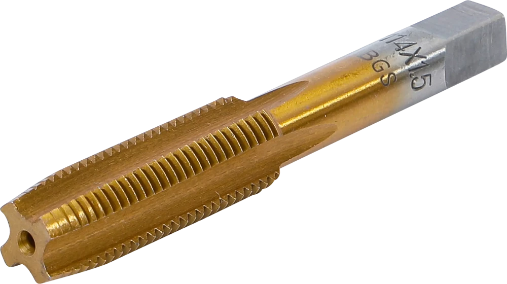 Macho de atarraxar | M14 x 1,5