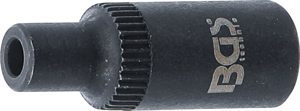 Suportes de machos de atarraxar encaixes para chave de caixa sextavados | 6,3 mm (1/4") | 2,8 mm