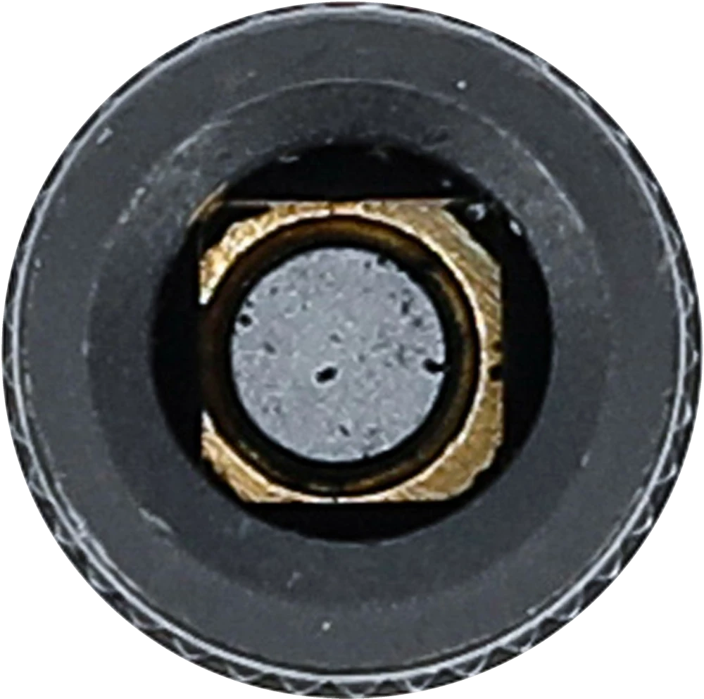 Suportes de machos de atarraxar encaixes para chave de caixa sextavados | 6,3 mm (1/4") | 4,6 mm