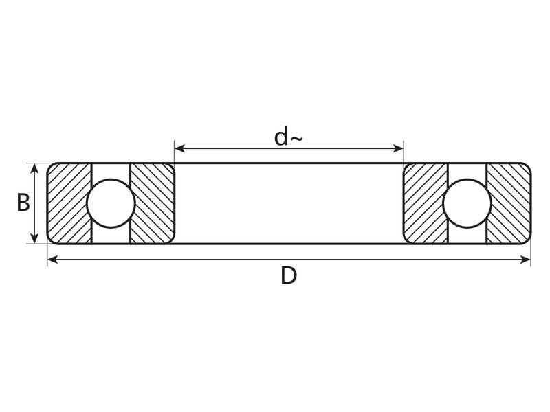 Sparex Rolamento (RLS5ZZ) (S.72812)