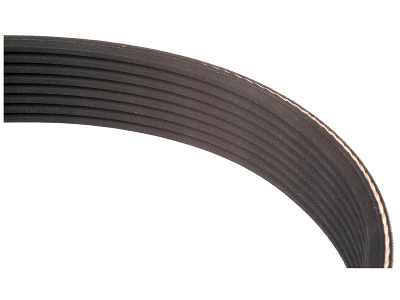 Correia 8PK1915 (S.73422)