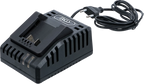Carregador rápido | 4,0 A | 18 V