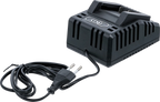 Carregador rápido | 4,0 A | 18 V