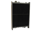 Radiador (S.73861)