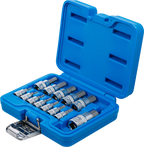 Conjunto de Encaixes para Pontas | Sextavado Interno | 1/4" + 3/8" + 1/2" | 13 peças