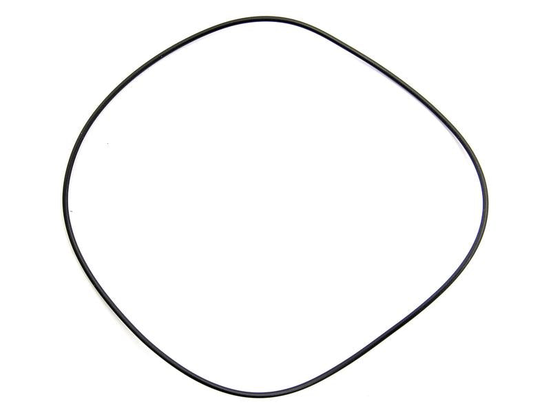 O'Ring 2 x 125mm (S.7765)