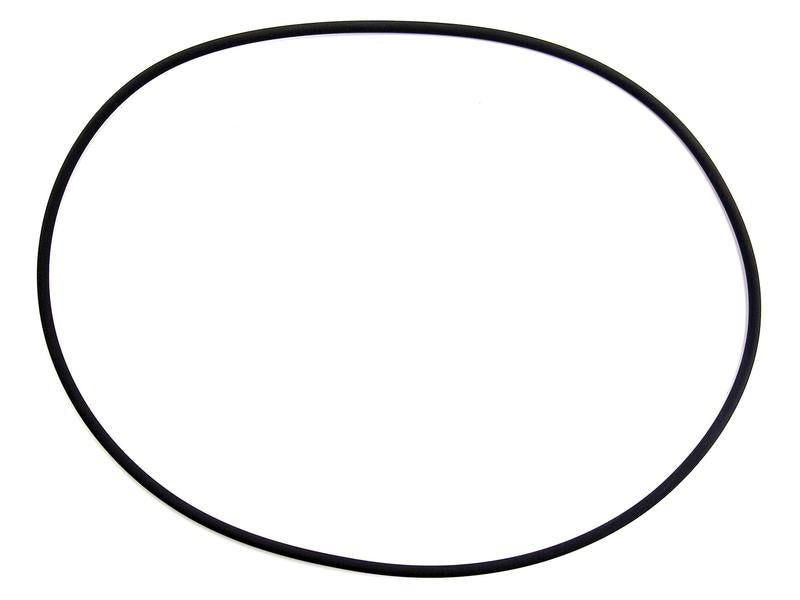 O'ring 4 x 200mm (S.7792)