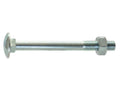 Parafuso c/porca para carroçarias, Tamanho: M10x45mm (DIN 603/555) (S.8269)