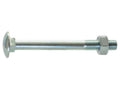 Parafuso c/porca para carroçarias, Tamanho: M12x40mm (DIN 603/555) (S.8297)