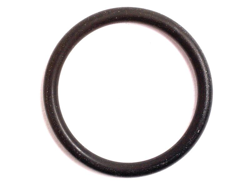 O'ring 2 x 22mm (S.8969)