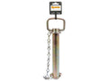 Cavilha de Engate com corrente 25x183mm (S.900432)