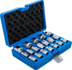 Conjunto de encaixes para chave de caixa, sextavados | Entrada de quadrado interno de 12,5 mm (1/2") | 8 - 32 mm | 19 peças