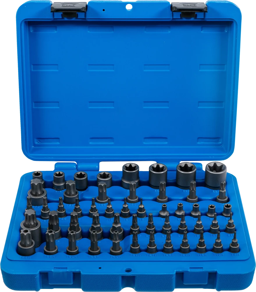 Conjunto de Encaixes | Torx, Torx+Furo, Torx Plus, Perfil E | 52 peças