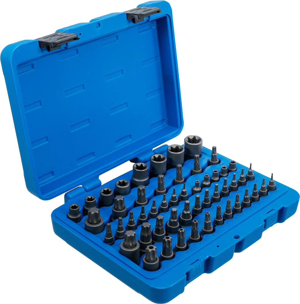 Conjunto de Encaixes | Torx, Torx+Furo, Torx Plus, Perfil E | 52 peças