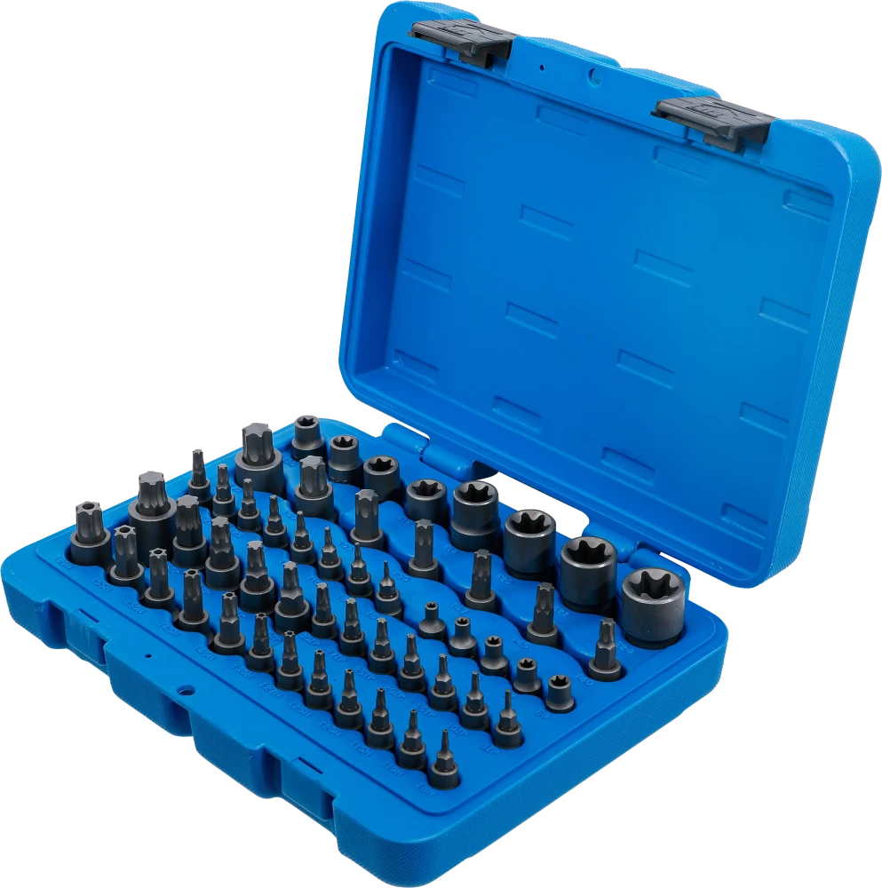 Conjunto de Encaixes | Torx, Torx+Furo, Torx Plus, Perfil E | 52 peças