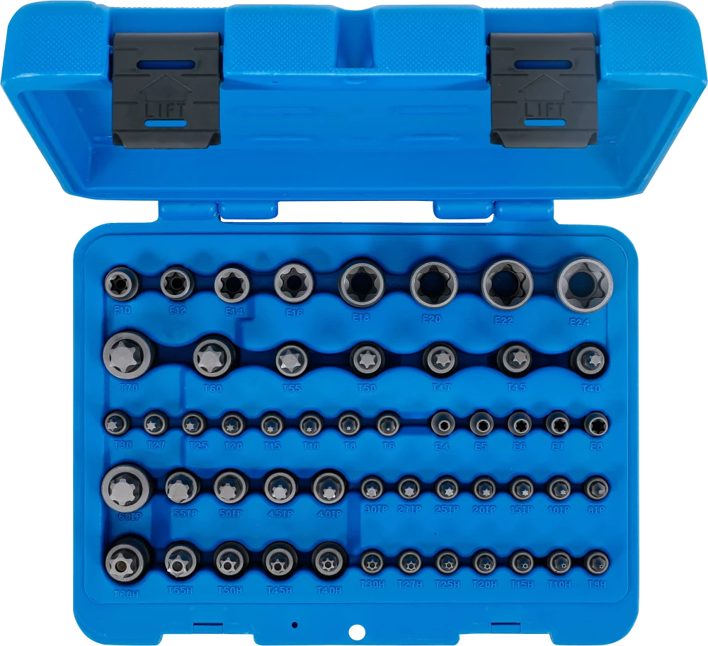 Conjunto de Encaixes | Torx, Torx+Furo, Torx Plus, Perfil E | 52 peças